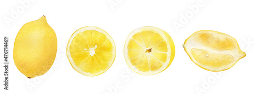 Watercolor lemon illustrations set. Hand-drawn vintage tropical yellow citrus fruit isolated on white background. Healthy food, cooking ingredient