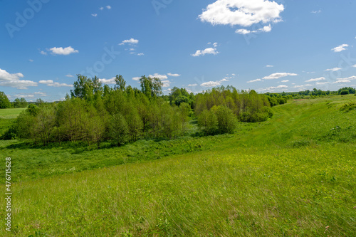 Spring photography  meadows  fields  ravines  hills  rural landscape. A deep  narrow gorge with steep slopes. A naturally raised area of       land  not as high or craggy as a mountain.