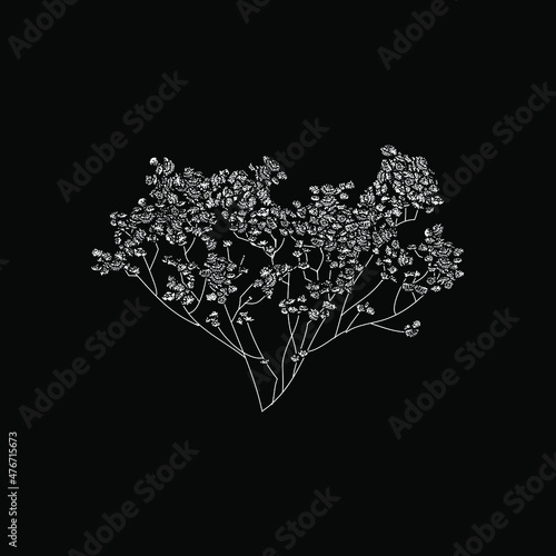 babys breath flower hand drawing vector illustration isolated on black background