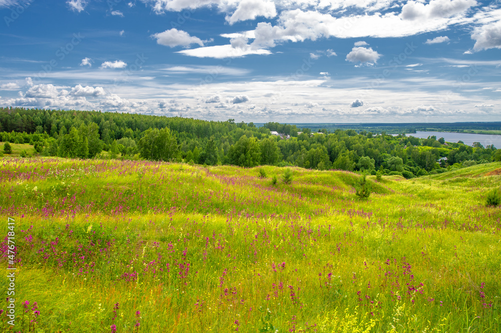 Summer landscape, a large full-flowing river, meadow flowers on the banks of the river, mighty clouds in the sky, a tourist walk along the Kama River