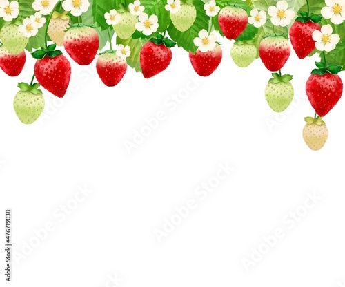 美味しそうなイチゴと葉っぱと花の吊り下がったかわいいフレームイラストセット素材 Stock Vector Adobe Stock
