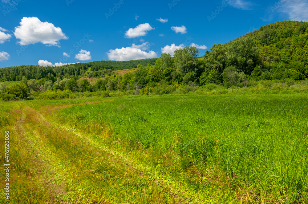 Summer photo. floodplain meadows A meadow (or floodplain) is an area of ​​meadows or pastures on the banks of a river that is prone to seasonal flooding.