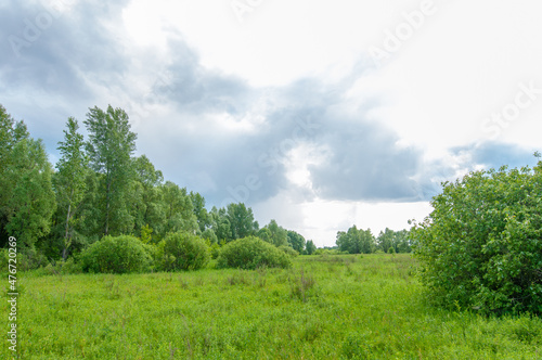 summer landscape, thunderclouds, blue sky, floodplain meadow fields, the aroma of summer colors and a variety of wildflowers