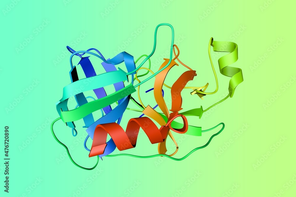 Crystal structure of human cathepsin G on colorful background. Ribbons