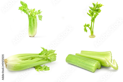 Group of celery isolated on a white background cutout