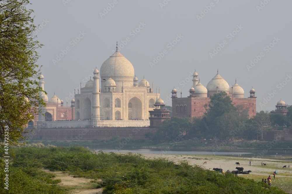 Obraz premium Beautiful view of Taj Mahal from across the river
