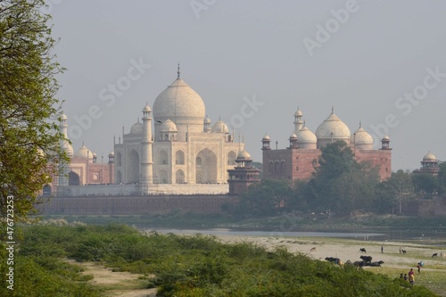 Beautiful view of Taj Mahal from across the river