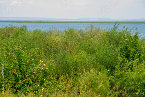Summer landscape. River in the European part of the world. Sunny warm day. Green trees, grass. Blue sky with a small cloud cover.