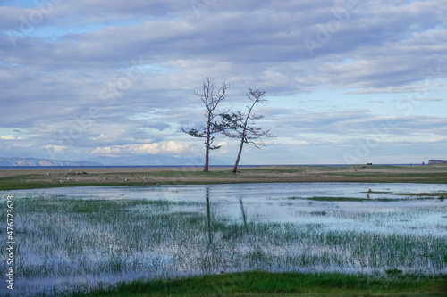 Natural pond on Saray beach on Olkhon island photo