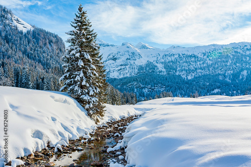 Through this unique mountain landscape of the area of ​​Gnadealm Obertauern, Austria, this small river meanders past beautiful snow-covered pine trees photo
