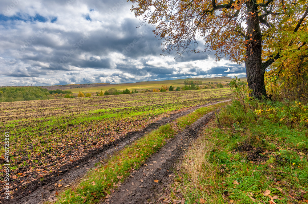 Autumn landscape photo. Mixed forests, meadows, ravines, cloudy sky, wonderful season.