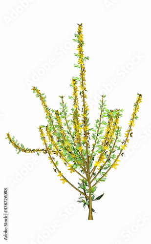Small bush blooming with yellow flowers - 3D render