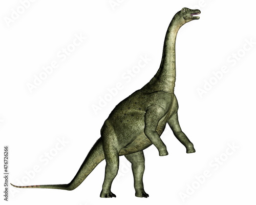 Saltasaurus dinosaur rearing up and roaring - 3D render