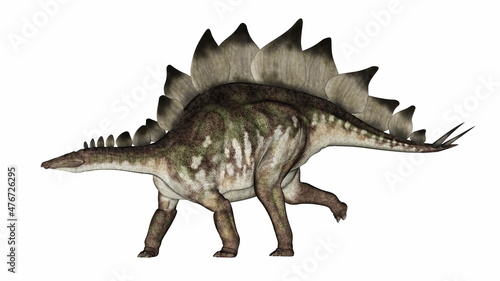 Stegosaurus dinosaur walking straight ahead - 3D render © Elenarts