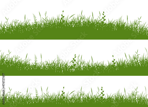 Grass meadow border. Grass on uneven ground.