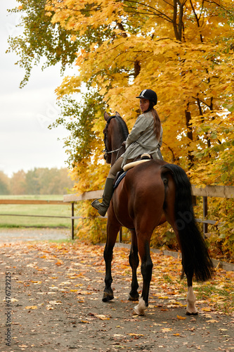 Beautiful brunette on a horse on the background of an autumn landscape. Horseback riding, active horseback riding © Georgii