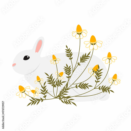Minimalistic gray rabbit in wild flowers daisies drawn in the style of doodle. Color vector hand drawn line art. Illustration for posters and postcards