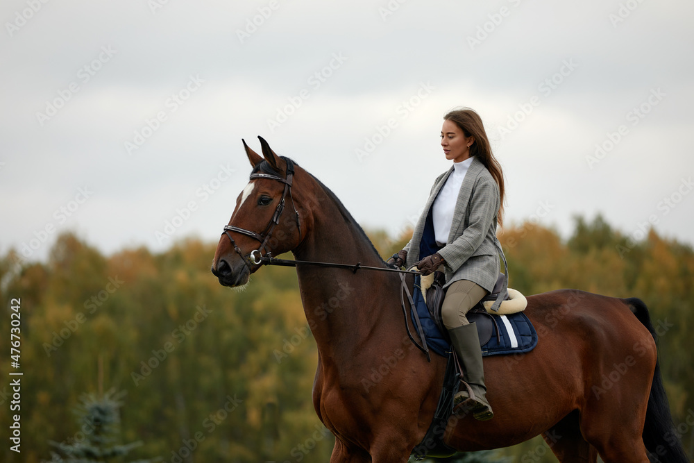 Beautiful young woman riding a horse on the field. Sideways to the camera. Freedom, joy, movement Beautiful young woman riding a horse on the field. Sideways to the camera. Freedom, joy, movement