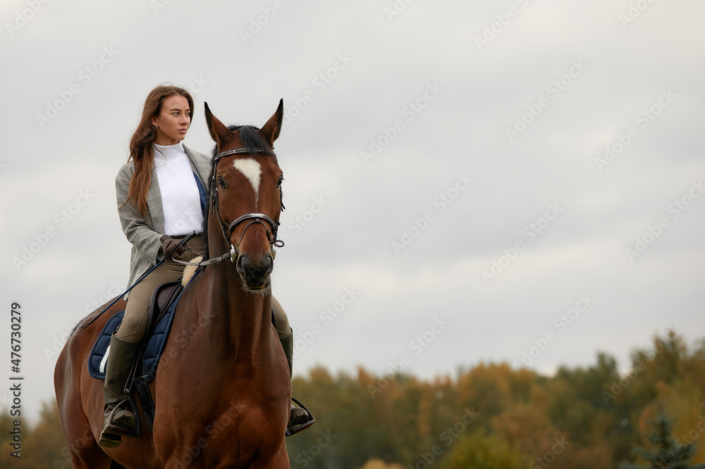 Fototapeta premium Beautiful young woman riding a horse on the field. Sideways to the camera. Freedom, joy, movement