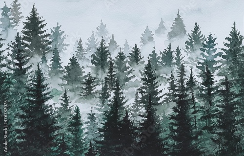 Christmas trees in watercolor. Forest landscape