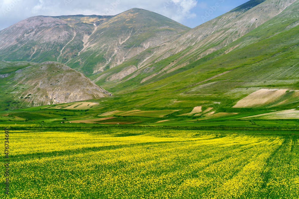 Obraz premium Piano Grande di Castelluccio, mountain and rural landscape