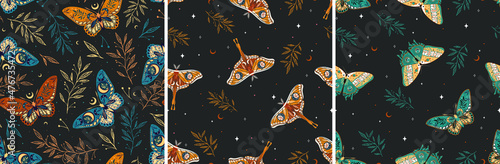 Set of seamless patterns with moths. Vector graphics. Contemporary composition. Trendy texture for print, textile, packaging.