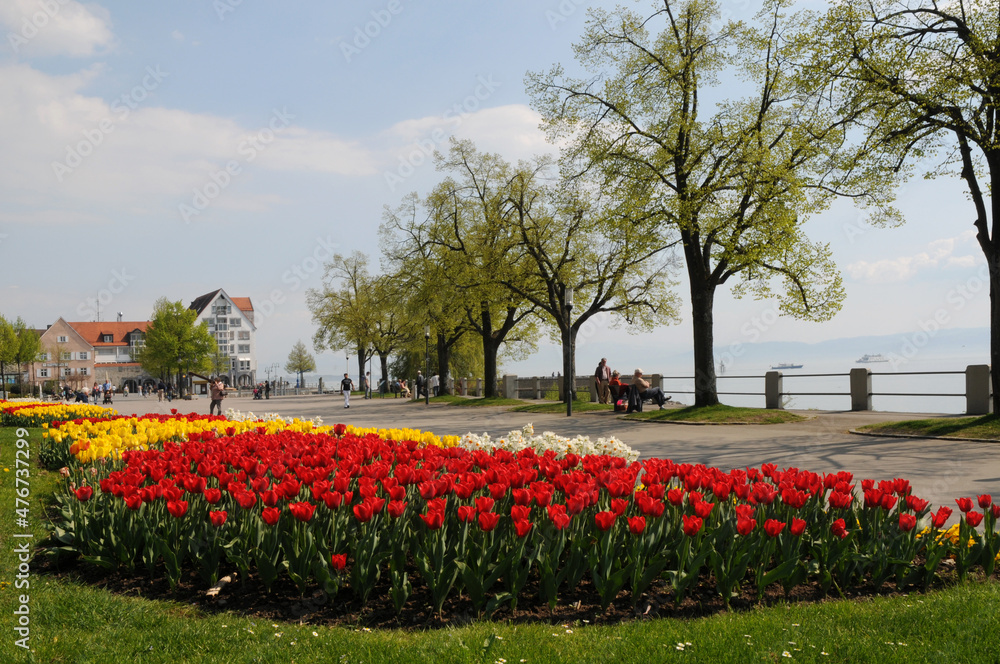 Friedrichshafen am Bodensee, Frühling an der Promenade