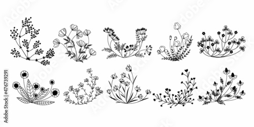 Black line art plants set. Doodle style field and meadow plants. Collection of hand drawn floral flowers, leaves and berries. Wild flowers