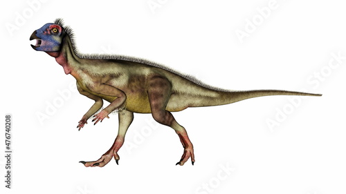 Hypsilophodon dinosaur walking mouth open - 3D render
