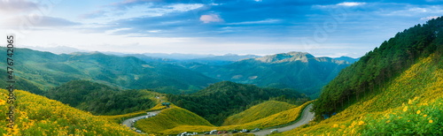 panorama mountain forest and flower field. © Victor