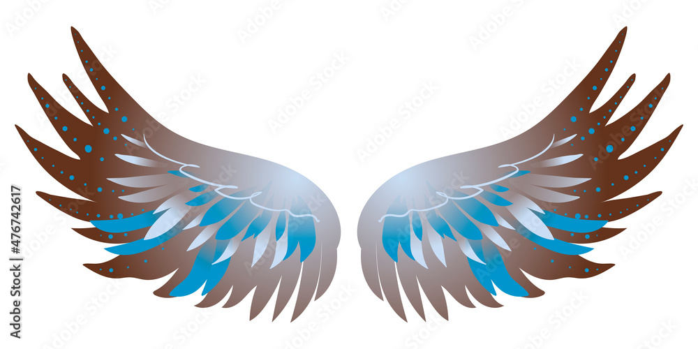 Fototapeta premium Beautiful brown blue bird wings, color vector illustration