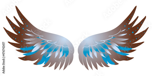 Beautiful brown blue bird wings, color vector illustration
