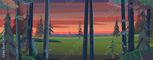 Night landscape with trees and fir trees. Evening sunset. Coniferous forest at dusk. Dark summer scene. Illustration in cartoon style flat design. Vector