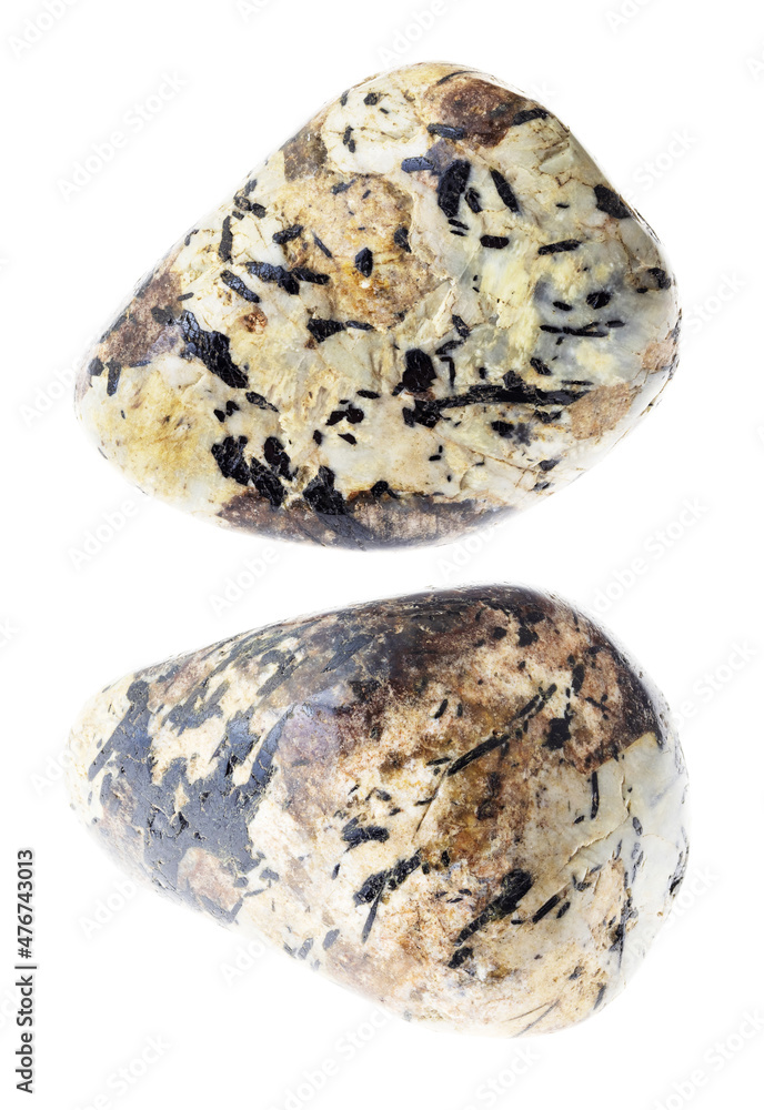 set of sanidine and nepheline rocks cutout set of sanidine and nepheline rocks cutout