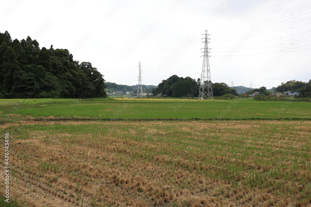 田舎の景色