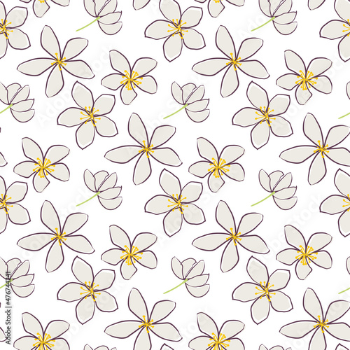 Jasmine floral vector seamless pattern background. Line art hand drawn flower heads  blossom  petals. Neutral backdrop.Botanical repeat for medicinal healing plant. All over print for wellness