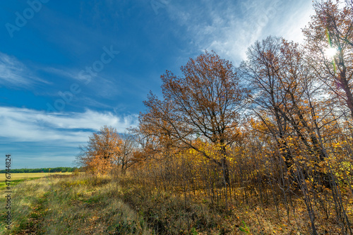 Autumn landscape photography, the European part of the Earth. Au