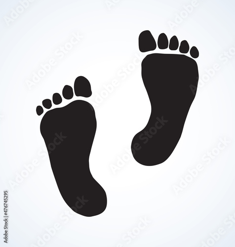 Foot. Vector drawing