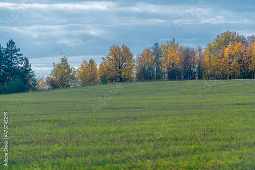 Autumn landscape photography. The European part of the land  fie