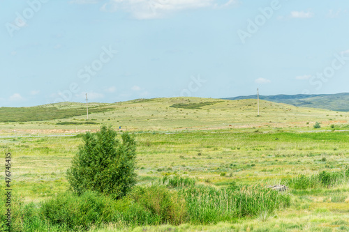 steppe, prairie, veld, veldt - The largest steppe region in the world, often referred to as the "Great Steppe", is located in Eastern Europe and Central Asia, as well as in neighboring countries, 