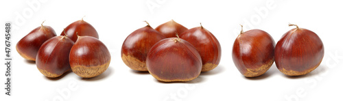Tableau sur toile Sweet chestnut on white background