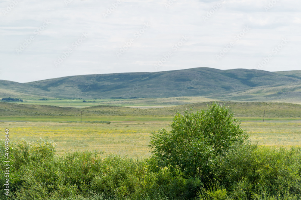 steppe, prairie, veld, veldt - The largest steppe region in the world, often referred to as the 