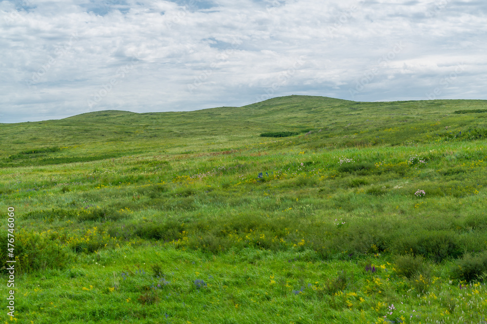steppe, prairie, veld, veldt - The largest steppe region in the world, often referred to as the 