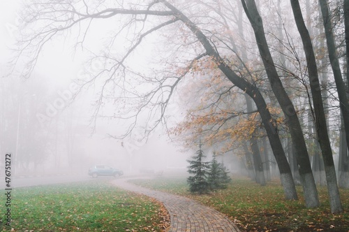 Thick fog in empty autumn park with paved path and bare trees