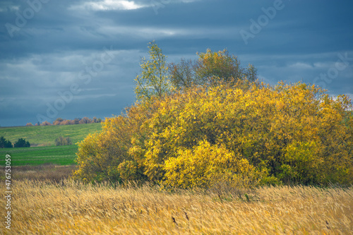 landscape photography. Beautiful autumn landscape with. Colorful