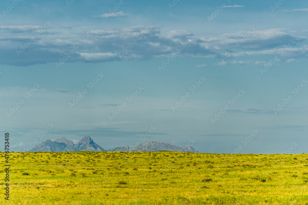 prairie, a steppe ecosystem considered part of grassland, savannah, and