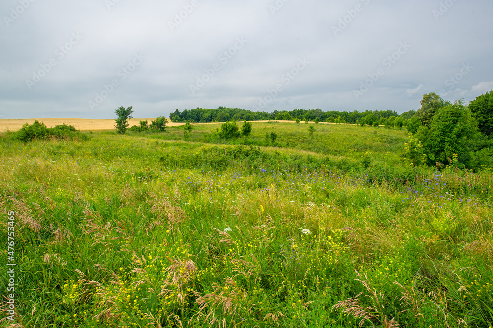 Summer landscape photography. European part of the earth. fields