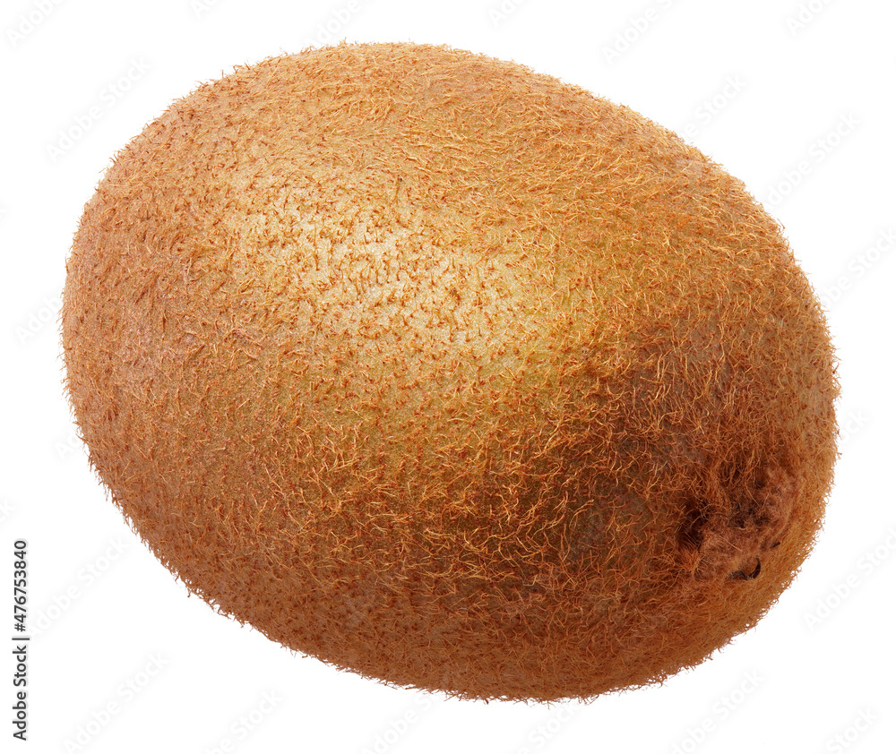 Kiwi isolated on white background Kiwi isolated on white background