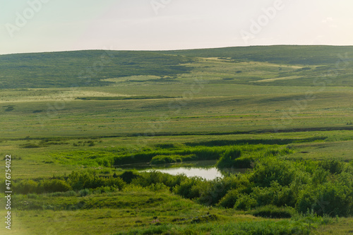 prairie  a steppe ecosystem considered part of grassland  savannah  and shrub biome according to ecologists  based on a similar temperate climate  moderate rainfall and grass composition 
