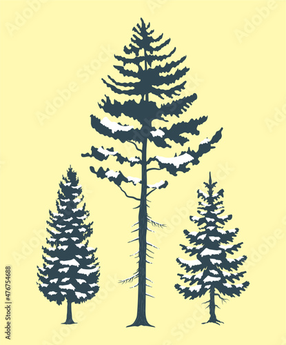 Картината върху платно three winter pines trees